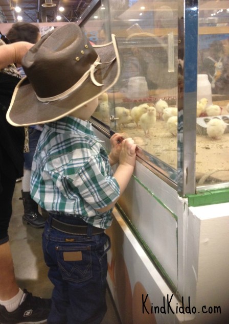 KK Rowdy rodeo chicks
