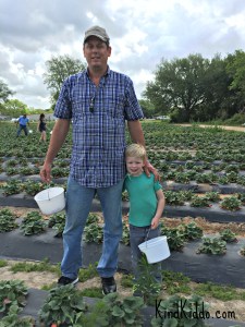 KK Rowdy Zach strawberries